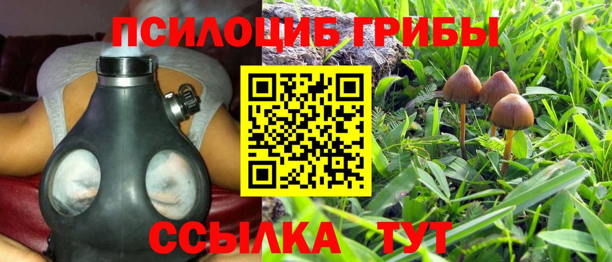 Галлюциногенные грибы мухоморы  купить закладку  Галлюциногенные грибы мухоморы  Ростов-на-Дону  Вход с VPN 